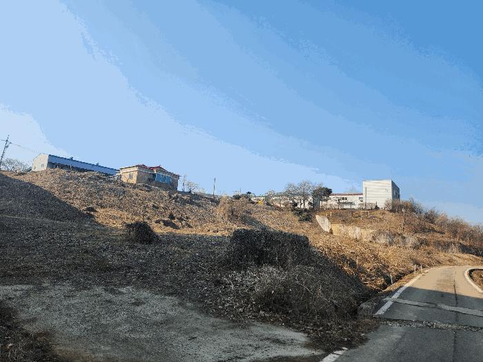 경기도 평택시 안중읍 금곡리 431-2 전 경매 사진 2