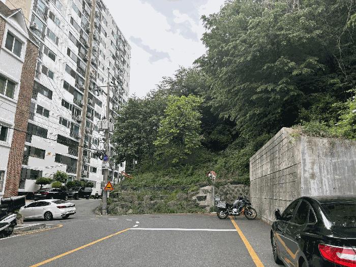 울산광역시 남구 야음동 산149-16 임야 경매 사진 1