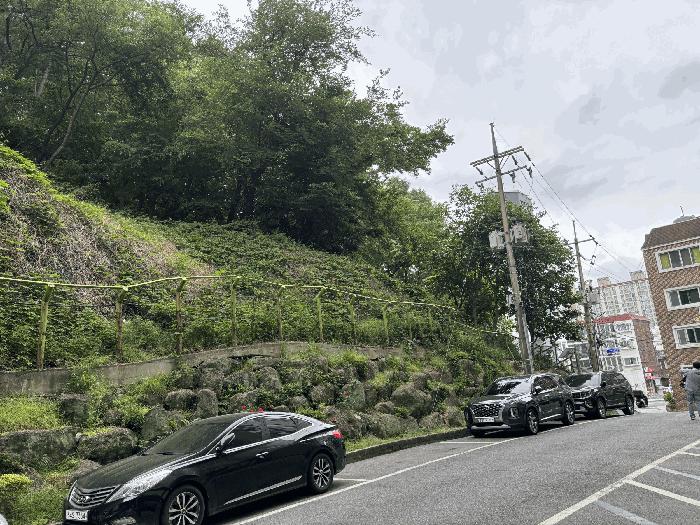 울산광역시 남구 야음동 산149-16 임야 경매 사진 2