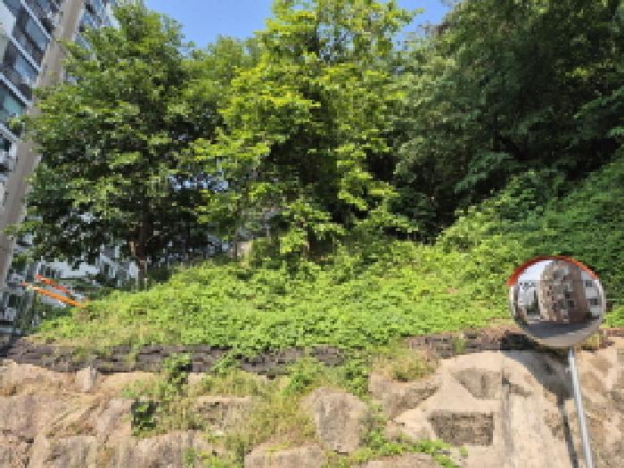 울산광역시 남구 야음동 산149-16 임야 경매 사진 6