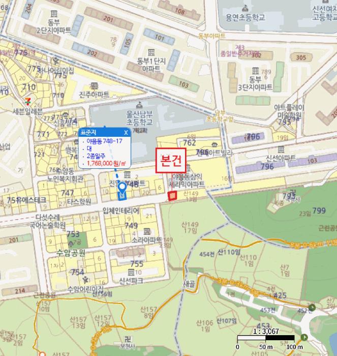 울산광역시 남구 야음동 산149-16 임야 경매 사진 7