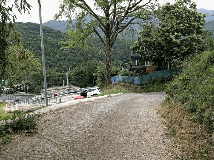 울산광역시 울주군 온양읍 내광리 603-3 묘지 경매 사진 2