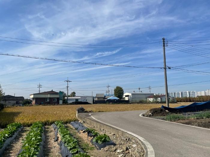 충청북도 청주시 청원구 북이면 화하리 산26-1 임야 경매 사진 5