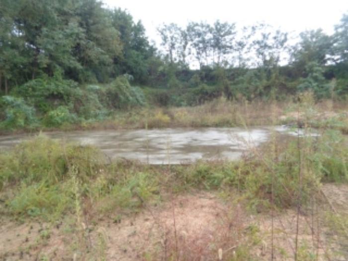 충청북도 청주시 흥덕구 오송읍 동평리 57-1 답 경매 사진 10