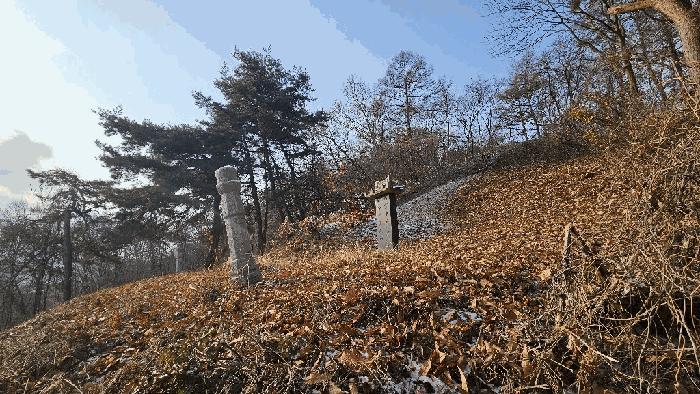 충청북도 청주시 상당구 가덕면 인차리 산13 임야 경매 사진 11