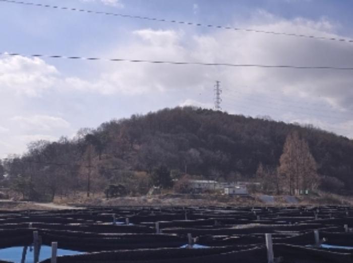 충청북도 청주시 상당구 가덕면 인차리 산13 임야 경매 사진 12