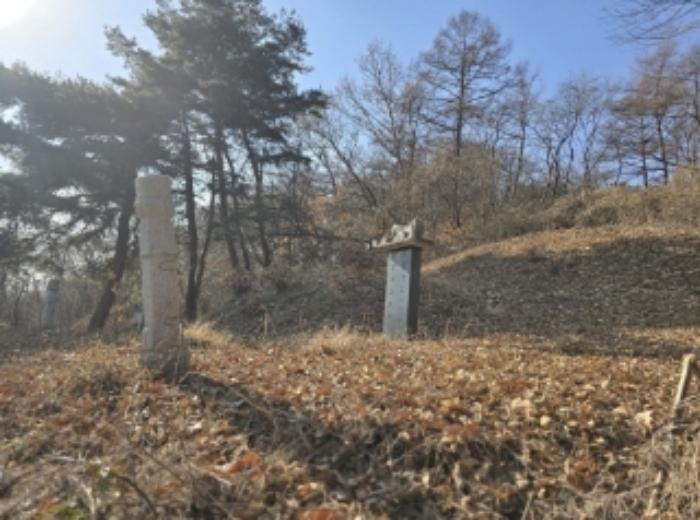 충청북도 청주시 상당구 가덕면 인차리 산13 임야 경매 사진 13