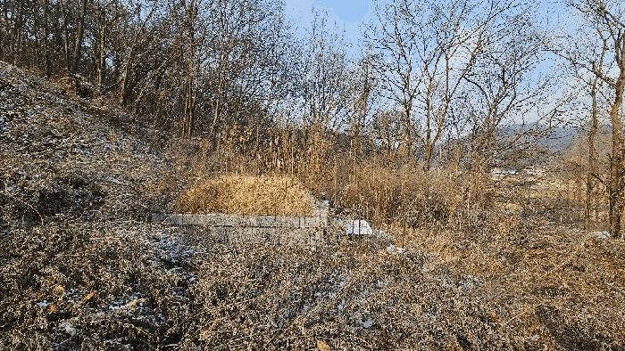 충청북도 청주시 상당구 가덕면 인차리 산13 임야 경매 사진 2