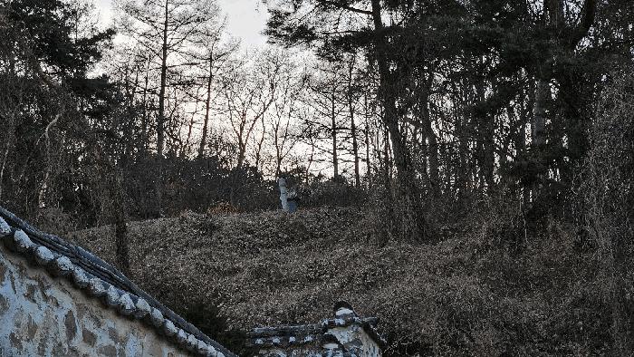 충청북도 청주시 상당구 가덕면 인차리 산13 임야 경매 사진 3