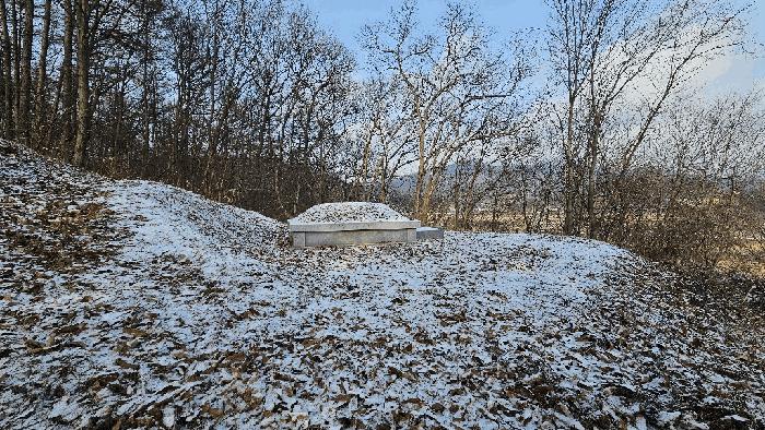 충청북도 청주시 상당구 가덕면 인차리 산13 임야 경매 사진 6