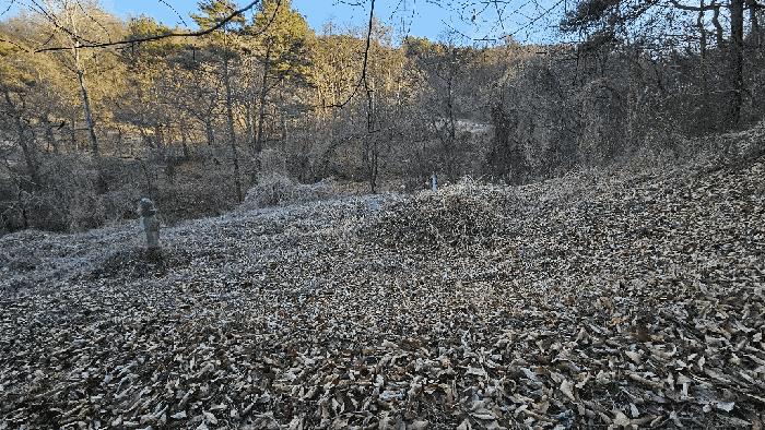 충청북도 청주시 상당구 가덕면 인차리 산13 임야 경매 사진 8