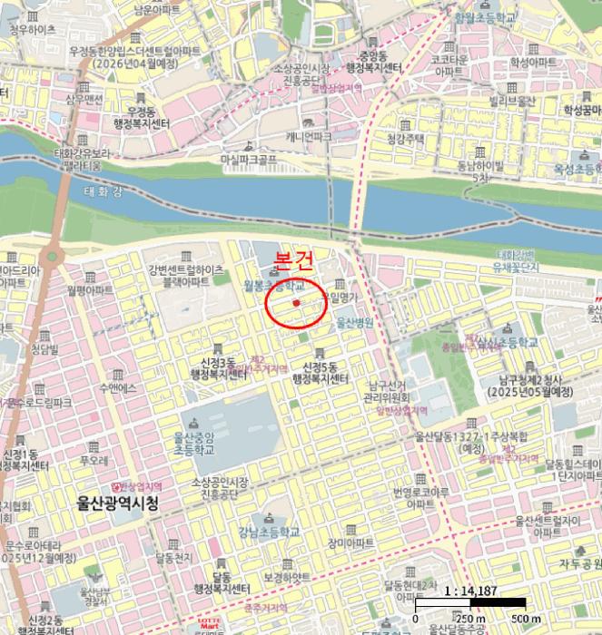 울산광역시 남구 신정동 265-49 주택 경매 사진 11