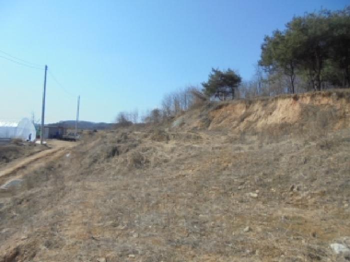충청북도 증평군 증평읍 내성리 361 전 경매 사진 2