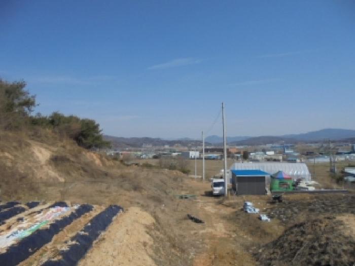 충청북도 증평군 증평읍 내성리 361 전 경매 사진 3