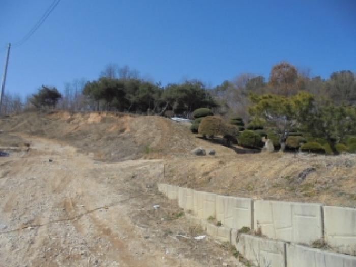 충청북도 증평군 증평읍 내성리 361 전 경매 사진 6