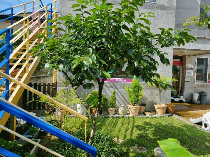 울산광역시 울주군 온양읍 대안리 403-14 노유자시설 경매 사진 5