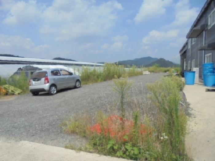 충청북도 청주시 상당구 가덕면 행정리 48 창고 경매 사진 10