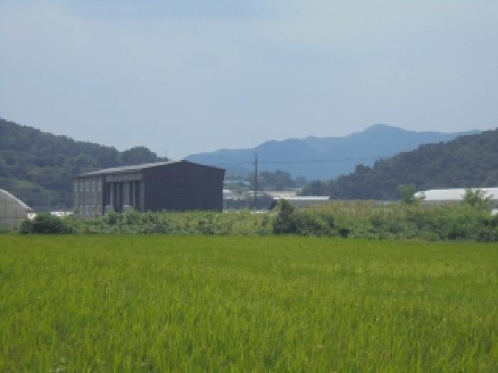 충청북도 청주시 상당구 가덕면 행정리 48 창고 경매 사진 12