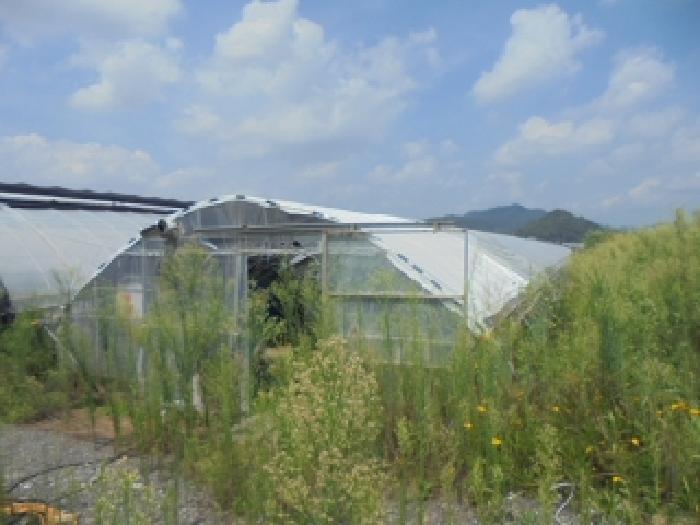 충청북도 청주시 상당구 가덕면 행정리 48-3 답 경매 사진 11