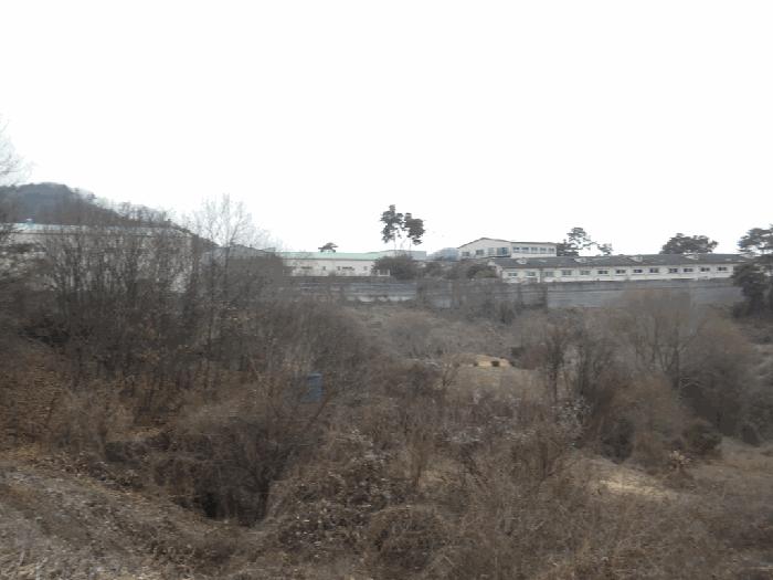 충청북도 괴산군 소수면 길선리 369-2 전 경매 사진 2
