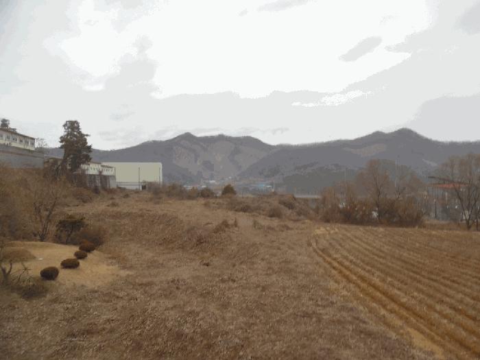충청북도 괴산군 소수면 길선리 369-2 전 경매 사진 4