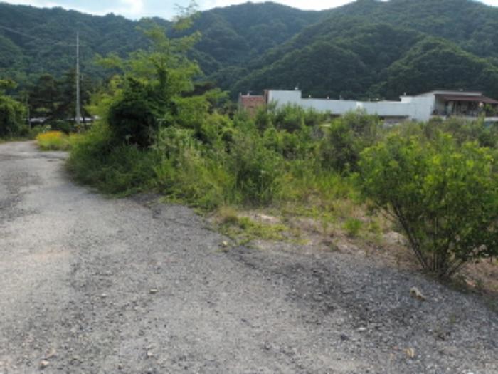 충청남도 금산군 부리면 수통리 716-28 임야 경매 사진 13