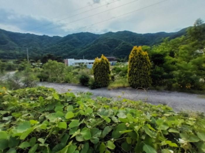 충청남도 금산군 부리면 수통리 716-28 임야 경매 사진 17