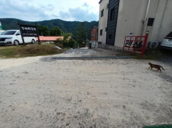 충청남도 금산군 부리면 수통리 716-28 임야 경매 사진 19