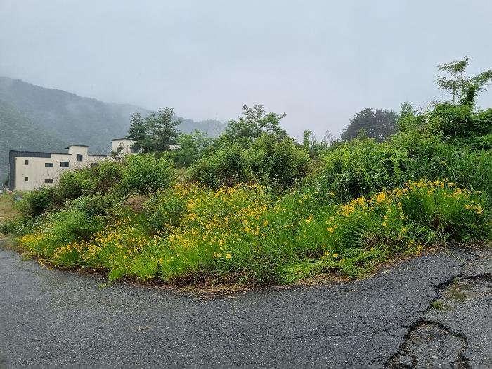 충청남도 금산군 부리면 수통리 716-28 임야 경매 사진 2