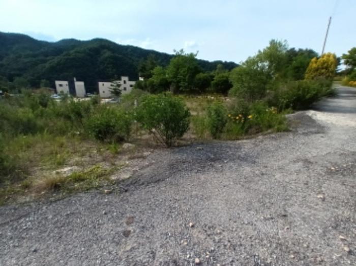 충청남도 금산군 부리면 수통리 716-28 임야 경매 사진 22