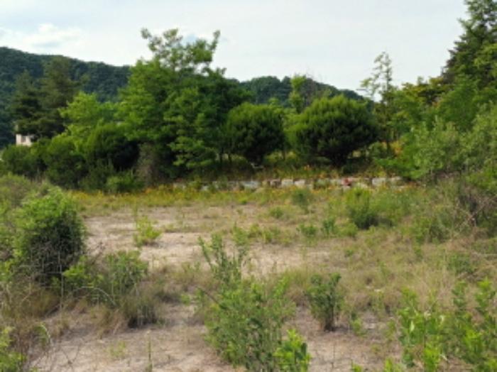 충청남도 금산군 부리면 수통리 716-28 임야 경매 사진 23