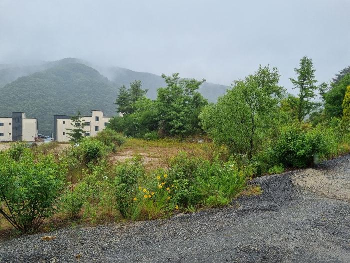 충청남도 금산군 부리면 수통리 716-28 임야 경매 사진 8