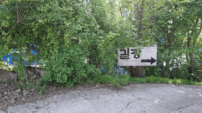 대전광역시 대덕구 와동 69-12 임야 경매 사진 6