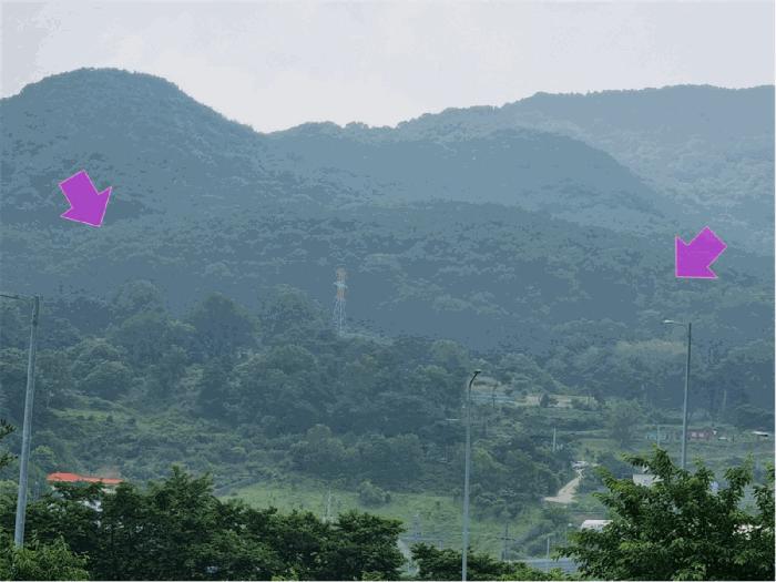 대전광역시 동구 삼정동 산40-1 임야 경매 사진 3