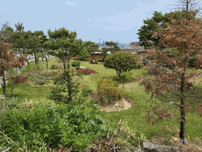 경상북도 구미시 해평면 해평리 236-2 답 경매 사진 16
