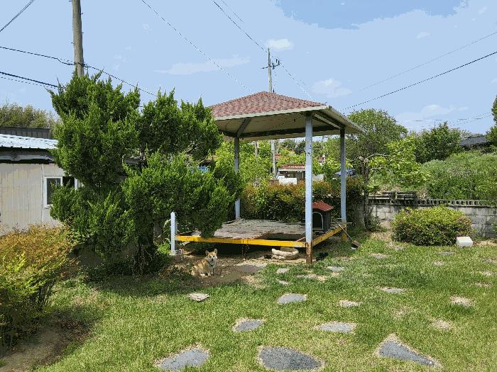 경상북도 구미시 해평면 해평리 236-2 답 경매 사진 20