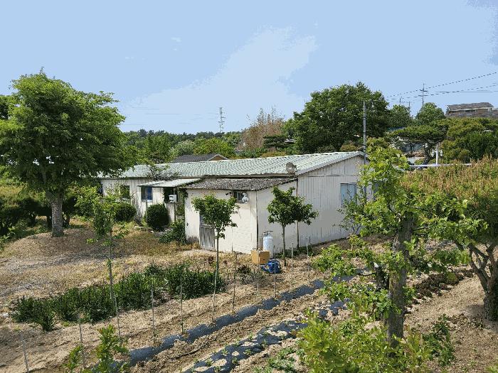 경상북도 구미시 해평면 해평리 236-2 답 경매 사진 24