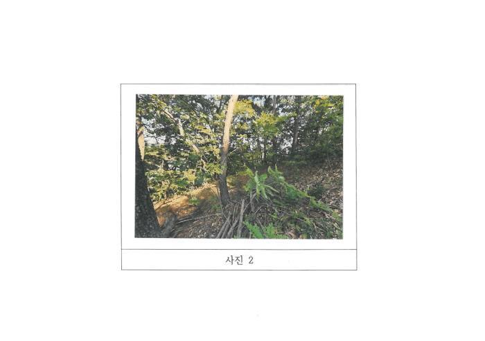 경상북도 구미시 지산동 산26-3 임야 경매 사진 4