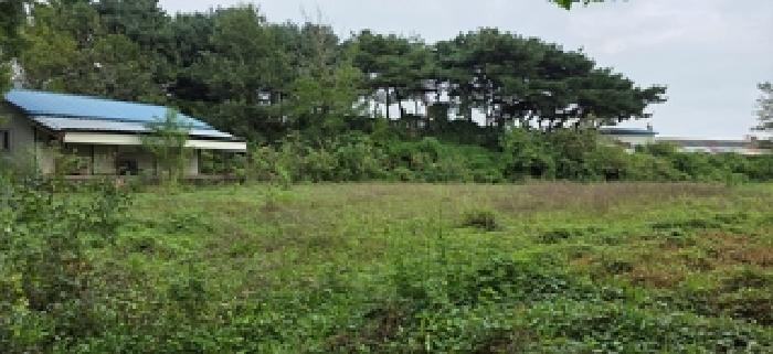 충청남도 홍성군 홍성읍 대교리 135-1 상가 경매 사진 16