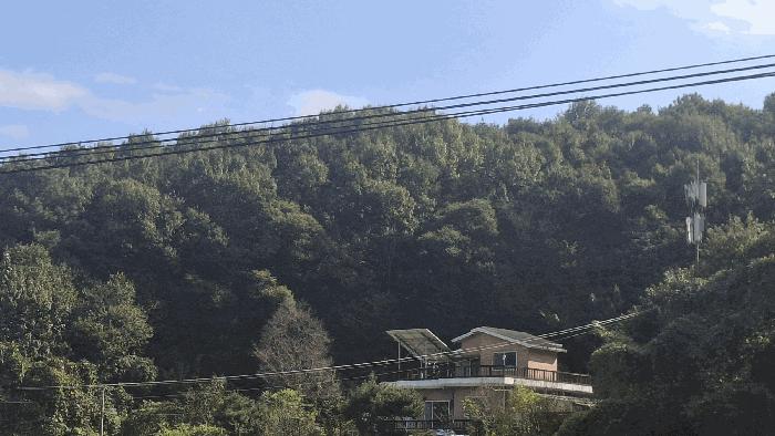 충청남도 예산군 봉산면 옹안리 산51 임야 경매 사진 1