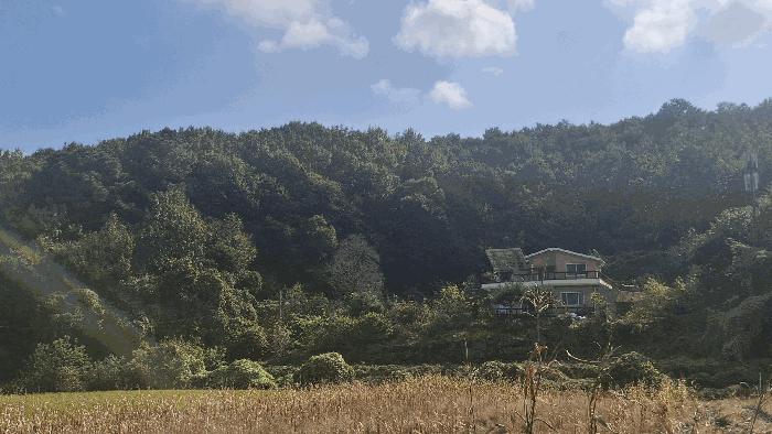 충청남도 예산군 봉산면 옹안리 산51 임야 경매 사진 3