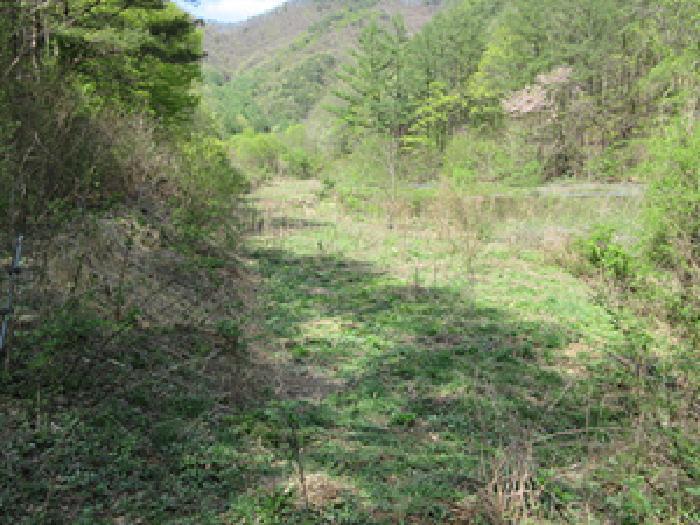 경상북도 문경시 농암면 연천리 18 답 경매 사진 13