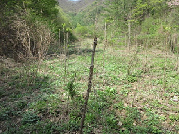 경상북도 문경시 농암면 연천리 18 답 경매 사진 14