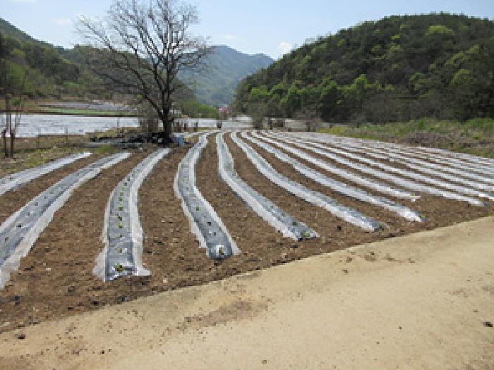 경상북도 문경시 농암면 연천리 18 답 경매 사진 19