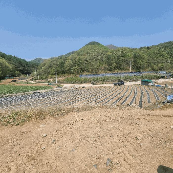 경상북도 문경시 농암면 연천리 18 답 경매 사진 5