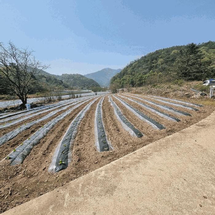 경상북도 문경시 농암면 연천리 158 전 경매 사진 1