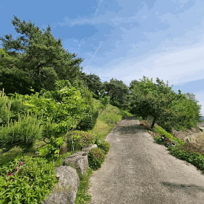 경상북도 예천군 예천읍 고평리 523-1 임야 경매 사진 3