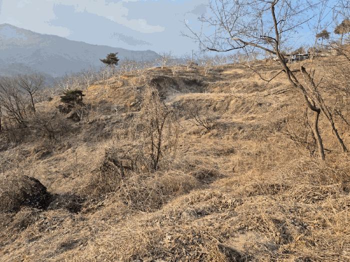 경상북도 예천군 효자면 고항리 178 전 경매 사진 10