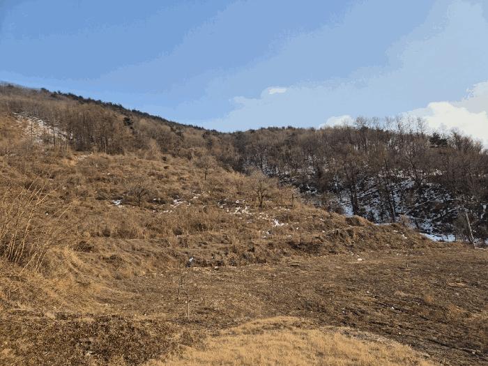 경상북도 예천군 효자면 고항리 178 전 경매 사진 11