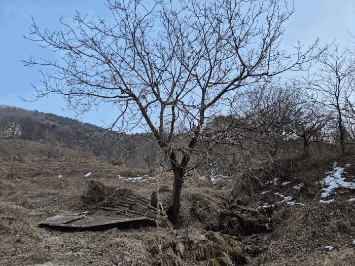 경상북도 예천군 효자면 고항리 178 전 경매 사진 13